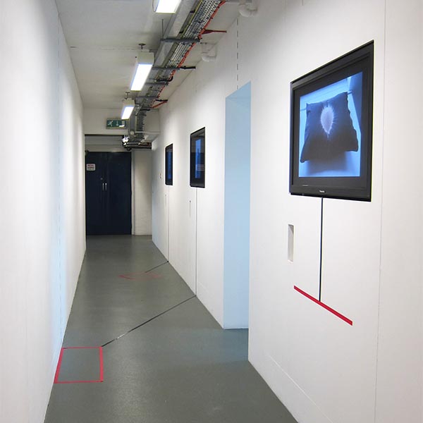 Plan for an exhibition of digital gestures