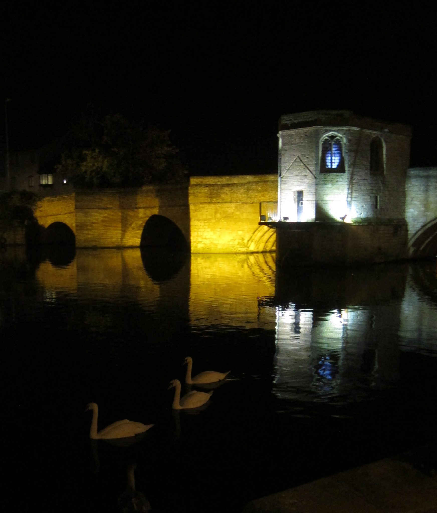 Text vb. with swans