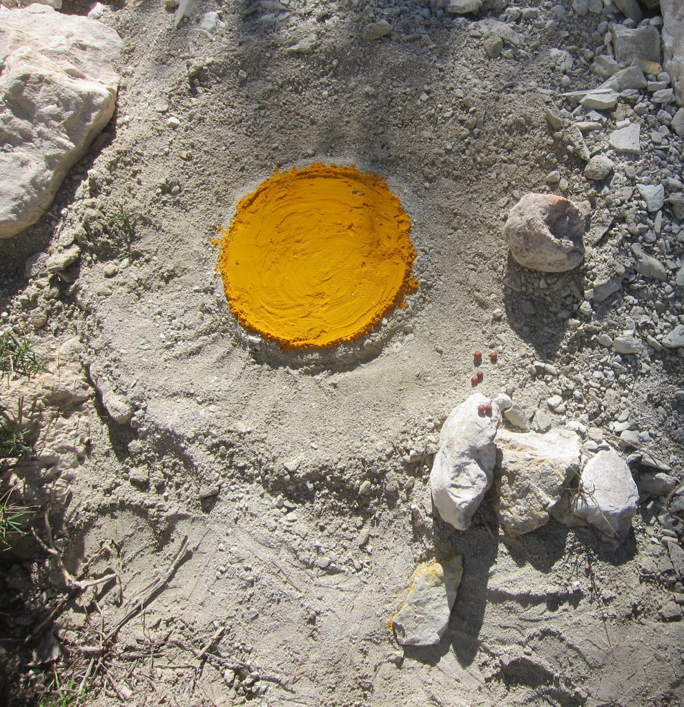 Tumeric sun