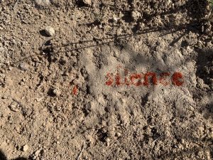silence 1