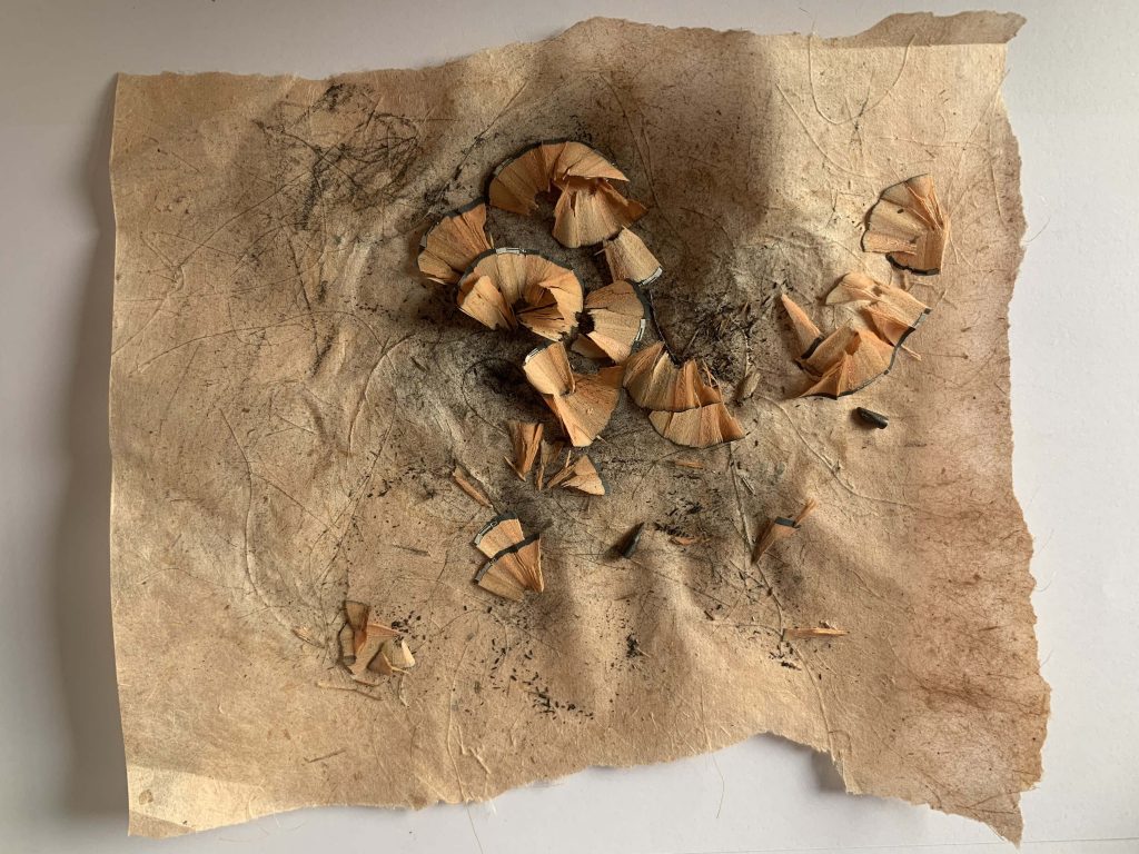 Dry shavings