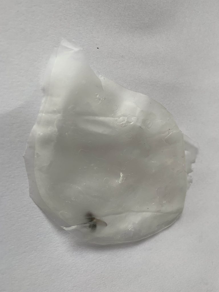 bio-plstic bag with fly 1