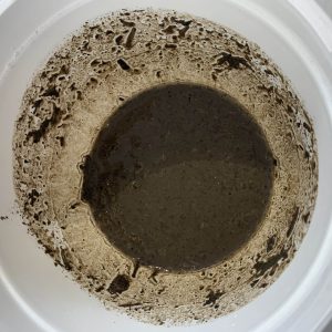 mud residue-2