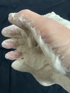 paste 4