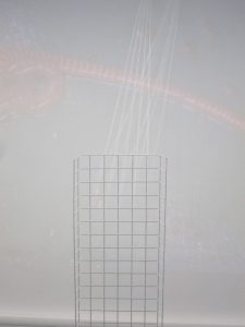 IMG_4498