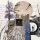 Collage 12 final SS Collage 12 final SS