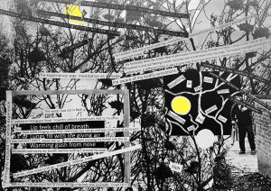 Walk 5 collage b&w with yellow Sally