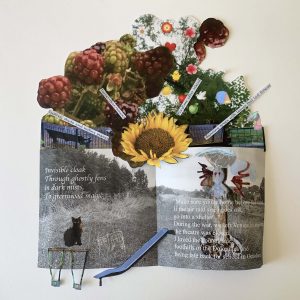 collage 40b